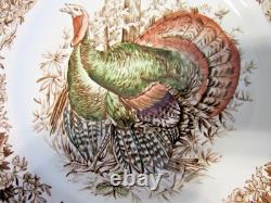 Johnson Brothers Wild Turkeys Native American 8 Salad Plates Set of 2 MINT