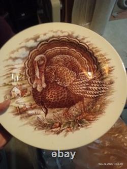 Johnson brothers thanksgiving dinner set