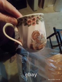 Johnson brothers thanksgiving dinner set