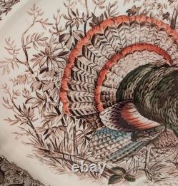 Large 20 Wild Turkeys Native American Windsor Ware Johnson Bros Oval PLATTER