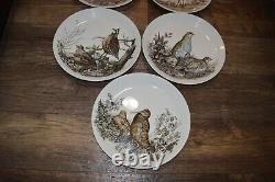 Lot of 9 Johnson Brothers Game Birds Vintage Large Oval Plates