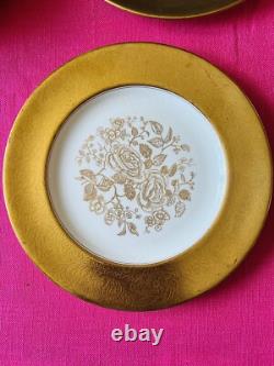 Pareek Johnson Bros Gold Encrusted 101/2 Dinner Plates Set Of 10
