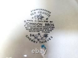RARE SET OF 34 Johnson Bros Cherry Theives Dinner Plates Bowls + Vintage England
