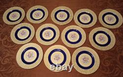 Set Of 12 Pareek Johnson Bros England Dinner Plates 10.5 Cobalt Floral Yellow