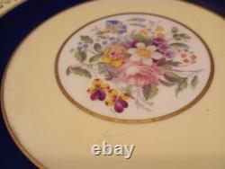 Set Of 12 Pareek Johnson Bros England Dinner Plates 10.5 Cobalt Floral Yellow