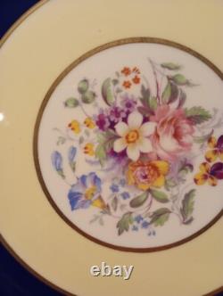 Set Of 12 Pareek Johnson Bros England Dinner Plates 10.5 Cobalt Floral Yellow