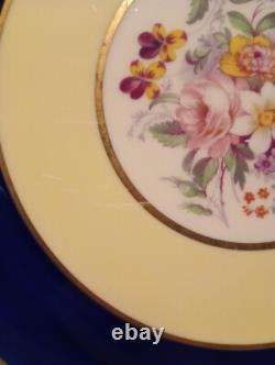 Set Of 12 Pareek Johnson Bros England Dinner Plates 10.5 Cobalt Floral Yellow