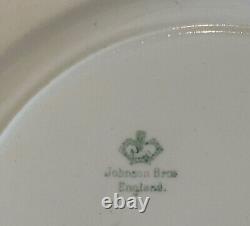 Set of 12 Antique Johnson Brothers Dinner Plates Made in England