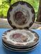 Set Of 6 Johnson Brothers Autumn Monarch Dinner Plates