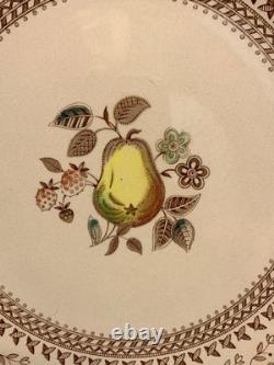 Set of 6 Vintage Johnson Bros. Fruit Sampler 10 inch Dinner Plates