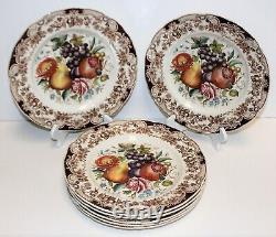 Set of 7 Johnson Brothers Harvest Fruit Windsor Ware 10.75 in. Dinner Plates