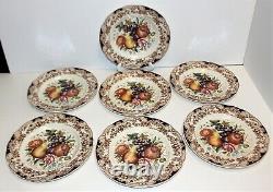 Set of 7 Johnson Brothers Harvest Fruit Windsor Ware 10.75 in. Dinner Plates