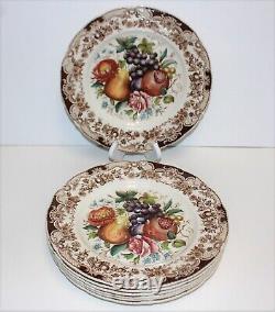 Set of 7 Johnson Brothers Harvest Fruit Windsor Ware 10.75 in. Dinner Plates