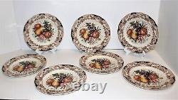 Set of 7 Johnson Brothers Harvest Fruit Windsor Ware 10.75 in. Dinner Plates