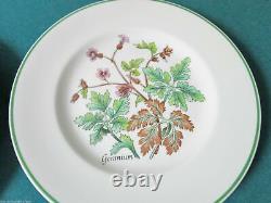 Tiffany & Co Johnson Bros -menagerie- -wild Flowers- Salad Plates Origin Pick 1