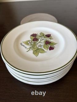 Tiffany & Co Staffordshire 8 Berry Assort Plates by Johnson Brothers (334ME)