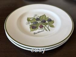 Tiffany & Co Staffordshire 8 Berry Assort Plates by Johnson Brothers (334ME)