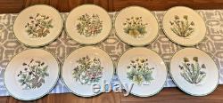 Tiffany & Co. Wild Flowers Salad/Appetizer Plates by Johnson Bros 8 8 Plates