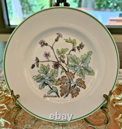 Tiffany & Co. Wild Flowers Salad/Appetizer Plates by Johnson Bros 8 8 Plates