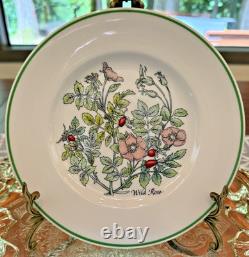 Tiffany & Co. Wild Flowers Salad/Appetizer Plates by Johnson Bros 8 8 Plates