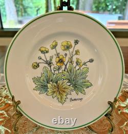Tiffany & Co. Wild Flowers Salad/Appetizer Plates by Johnson Bros 8 8 Plates