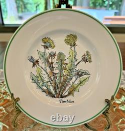 Tiffany & Co. Wild Flowers Salad/Appetizer Plates by Johnson Bros 8 8 Plates