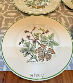 Tiffany & Co. Wild Flowers Salad/Appetizer Plates by Johnson Bros 8 8 Plates