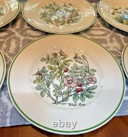 Tiffany & Co. Wild Flowers Salad/Appetizer Plates by Johnson Bros 8 8 Plates