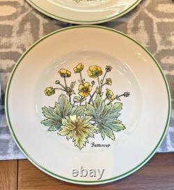 Tiffany & Co. Wild Flowers Salad/Appetizer Plates by Johnson Bros 8 8 Plates