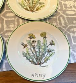 Tiffany & Co. Wild Flowers Salad/Appetizer Plates by Johnson Bros 8 8 Plates