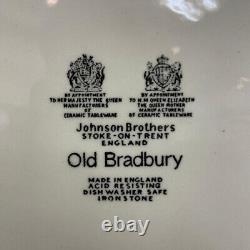 Unused Johnson Brothers Old Bradbury Oval Plate 6 pieces