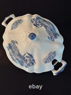 VTG JOHNSON BROS Rare English Gardens Blue & White Soup Tureen