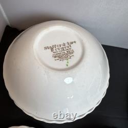 VTG Johnson Bros STAFFORDSHIRE BOUQUET 4, 7 Piece Place Settings 28 Total Pieces