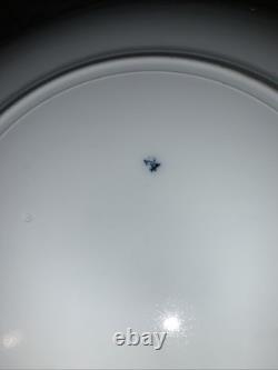 Very Old, Very Rare Dartmouth Johnson Bros England #24