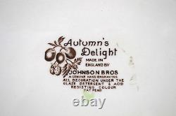 Vintage Johnson Bros Autumn's Delight Dinner Tea Coffee Set 34PC Fruit Design
