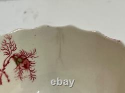 Vintage Johnson Bros. English Porcelain Rose Chintz Set of 16 Cups and Saucers