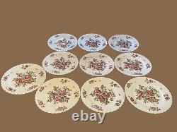 Vintage Johnson Brothers DEVON SPRAYS 10 dinner plates (10) brown/multicolor