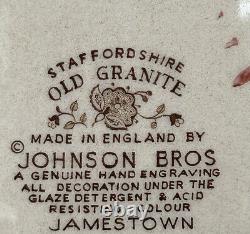 Vintage Johnson Brothers Old Granite Jamestown Brown Dinner Plates 10 1965-1985