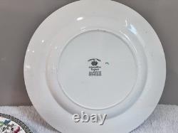 Vintage JohnsonBros England Indian Tree Chinaware Collection