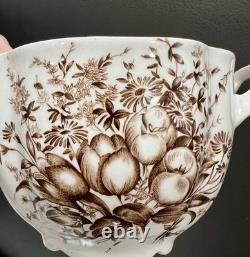 Windsor Ware Transferware Dover Brown Floral Set Johnson Bros, Tea&Coffee Pot